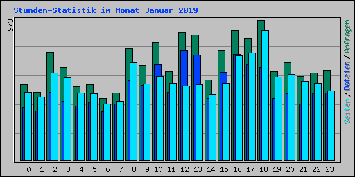 Stunden-Statistik im Monat Januar 2019