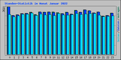 Stunden-Statistik im Monat Januar 2022