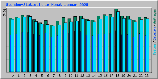 Stunden-Statistik im Monat Januar 2023