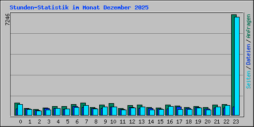 Stunden-Statistik im Monat Dezember 2025