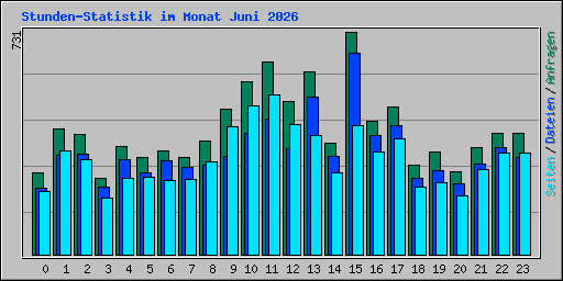 Stunden-Statistik im Monat Juni 2026