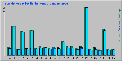 Stunden-Statistik im Monat Januar 2020