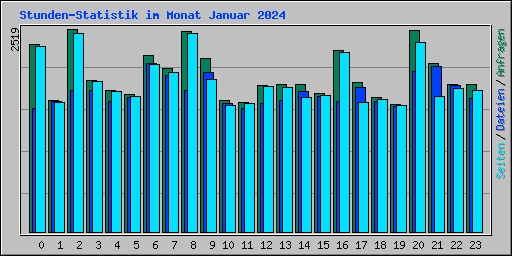 Stunden-Statistik im Monat Januar 2024