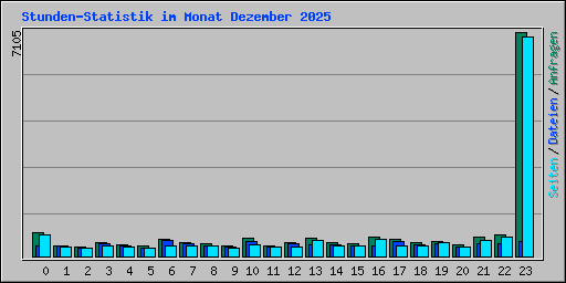 Stunden-Statistik im Monat Dezember 2025