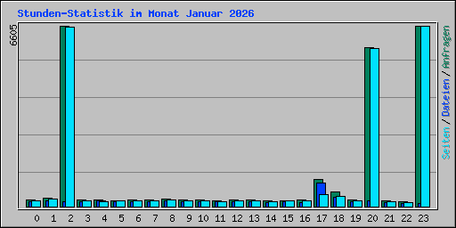 Stunden-Statistik im Monat Januar 2026