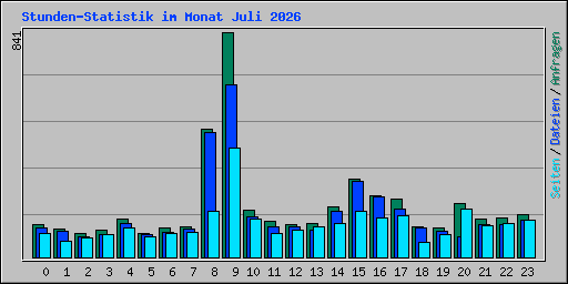 Stunden-Statistik im Monat Juli 2026